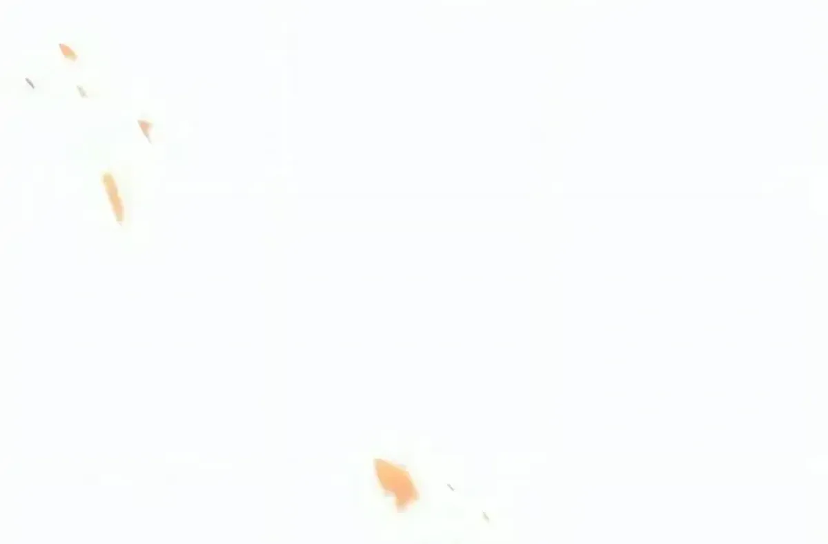 Página 84
