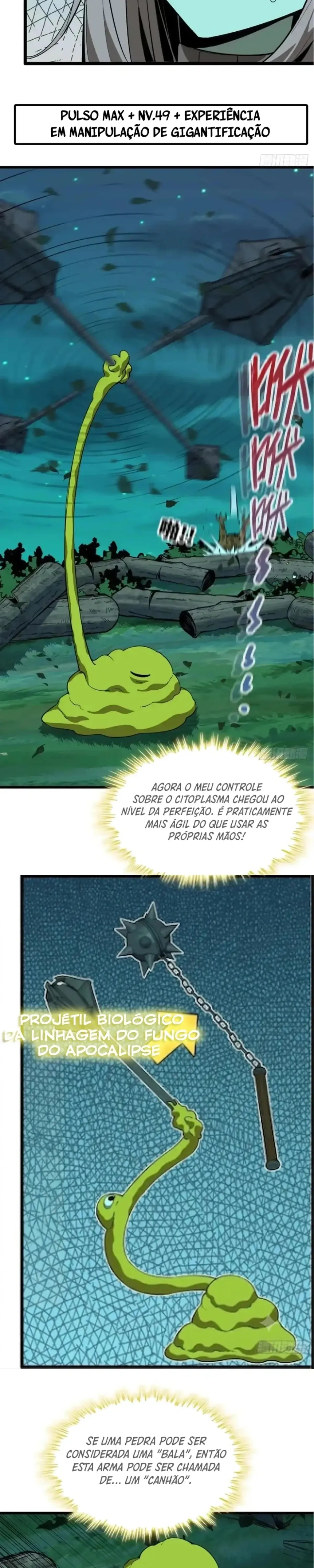 Página 11