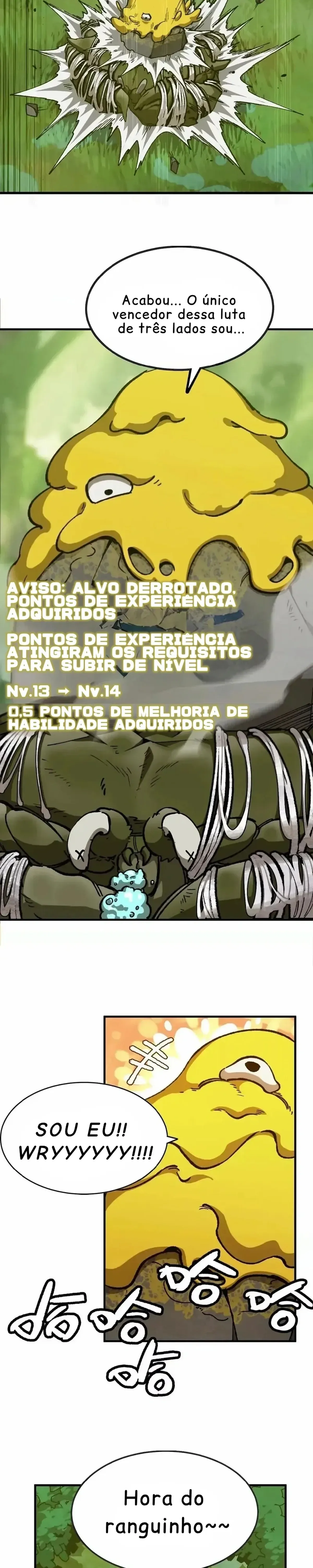 Página 13