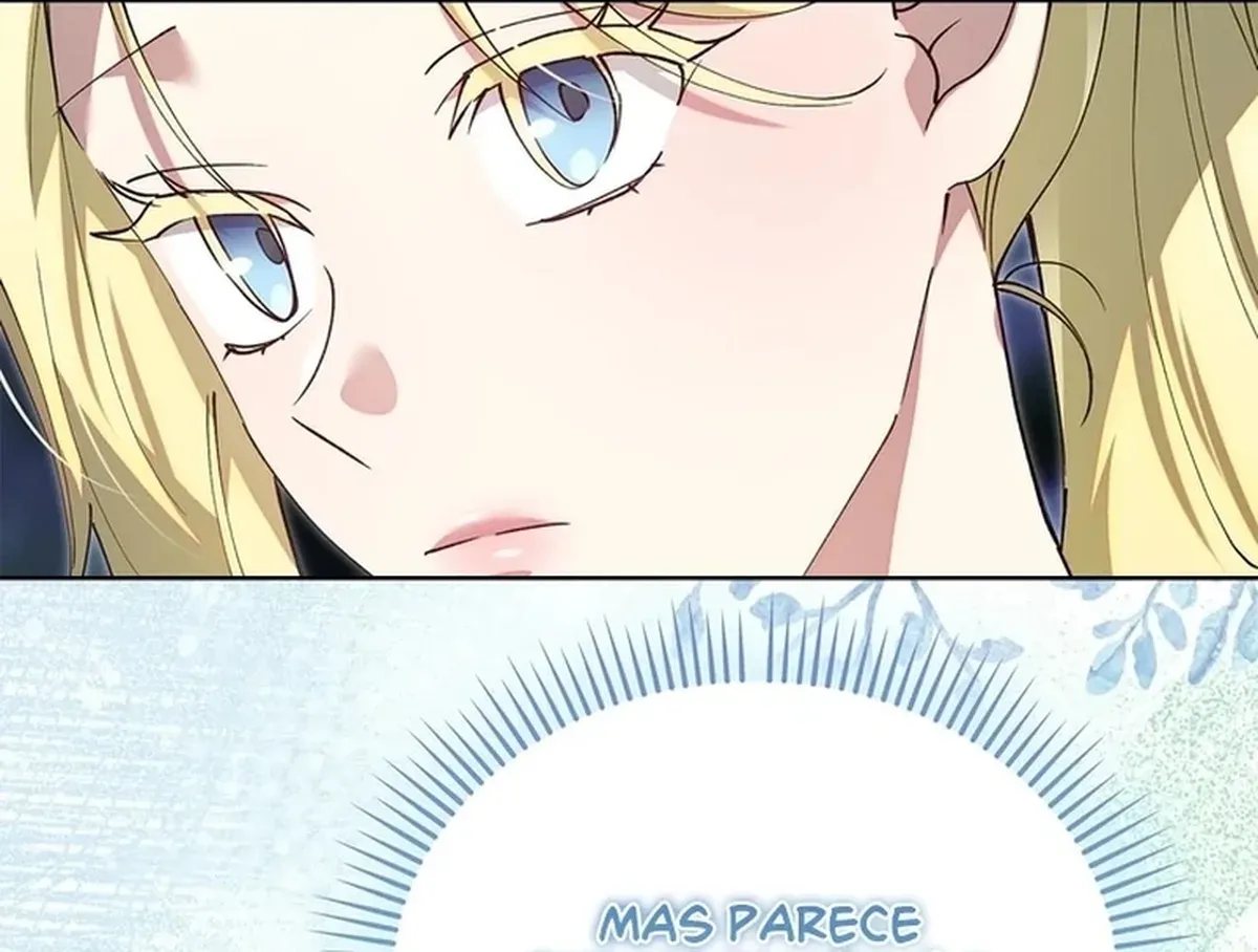 Página 117
