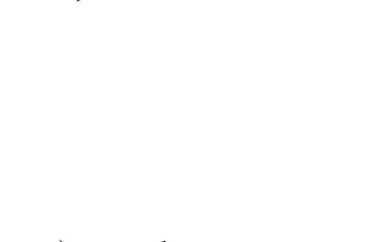 Página 75