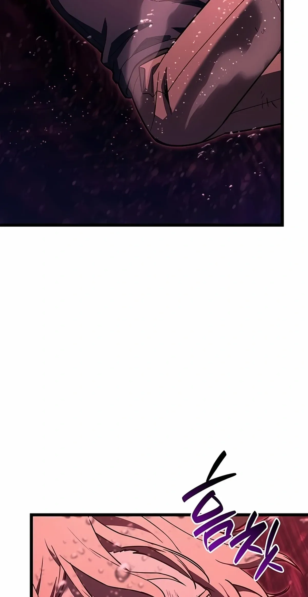 Página 79