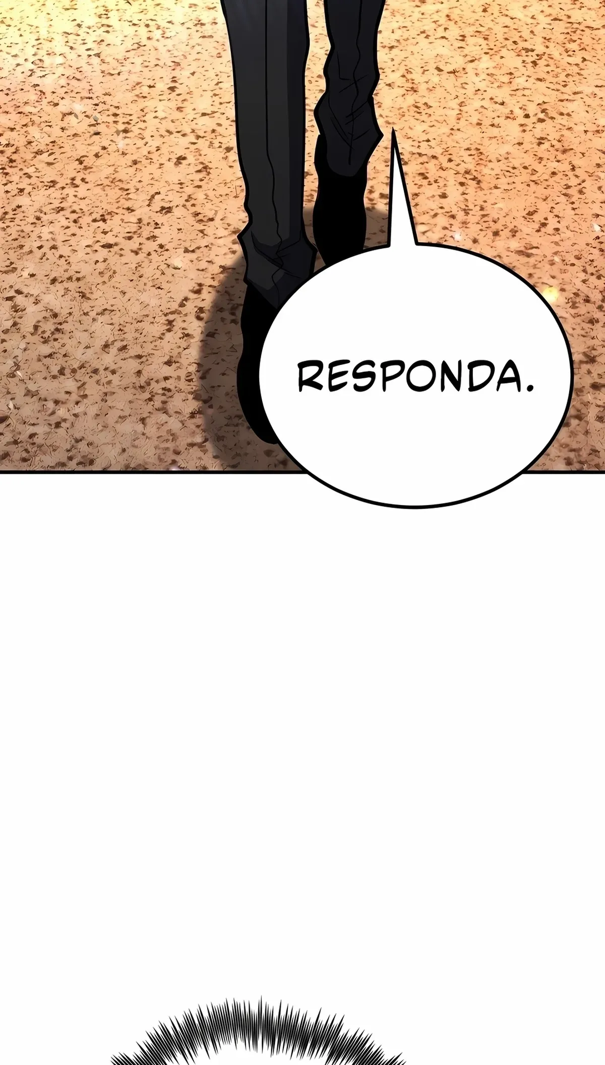 Página 117