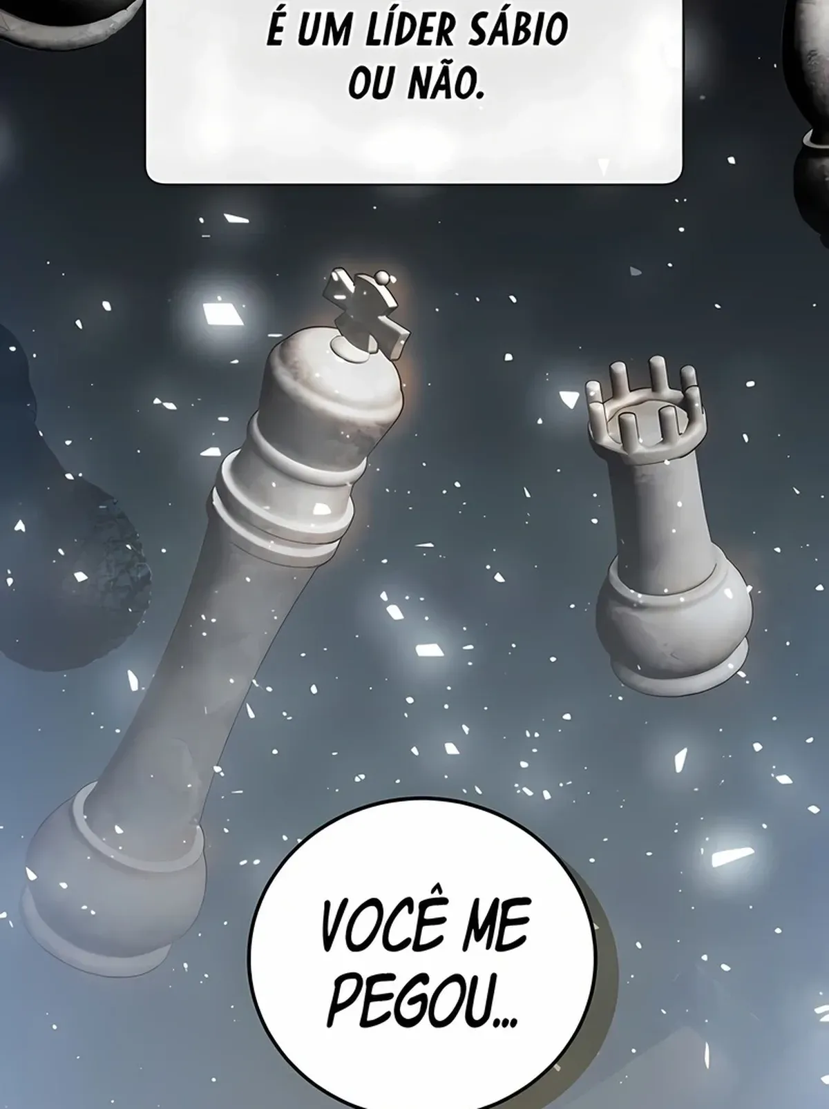 Página 119