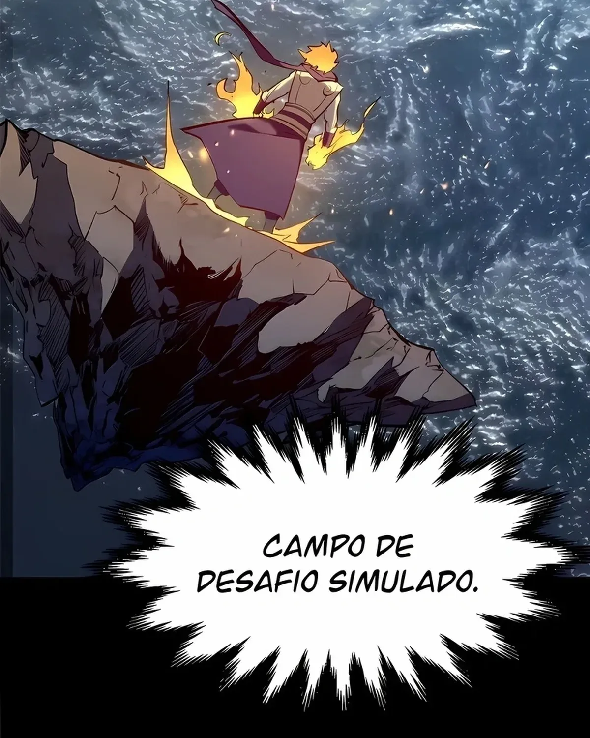 Página 100