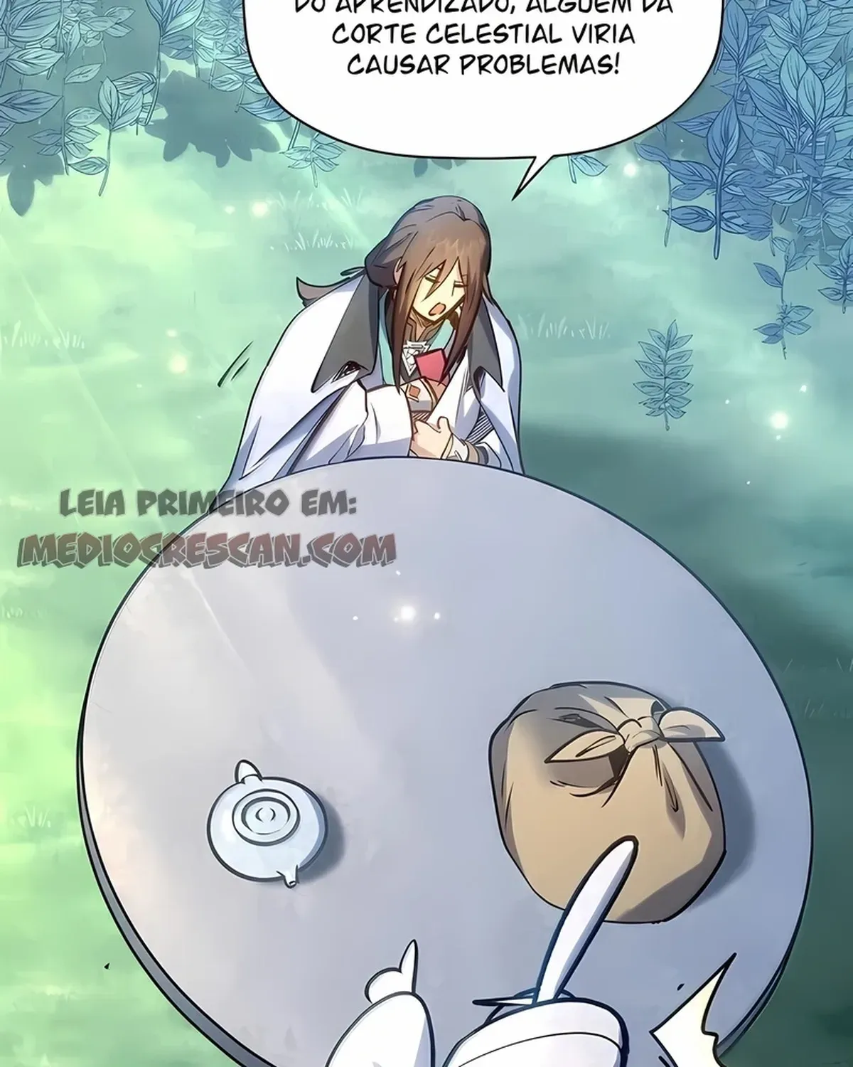 Página 17