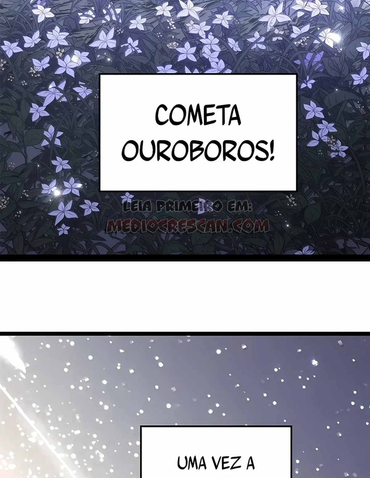 Página 100