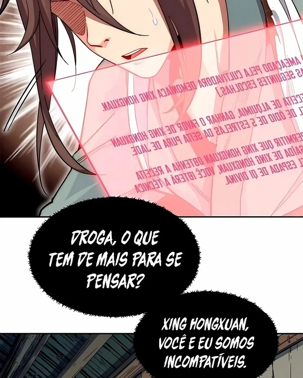 Página 29