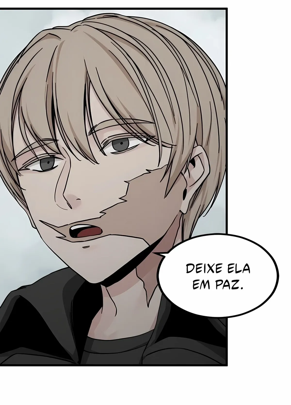 Página 101