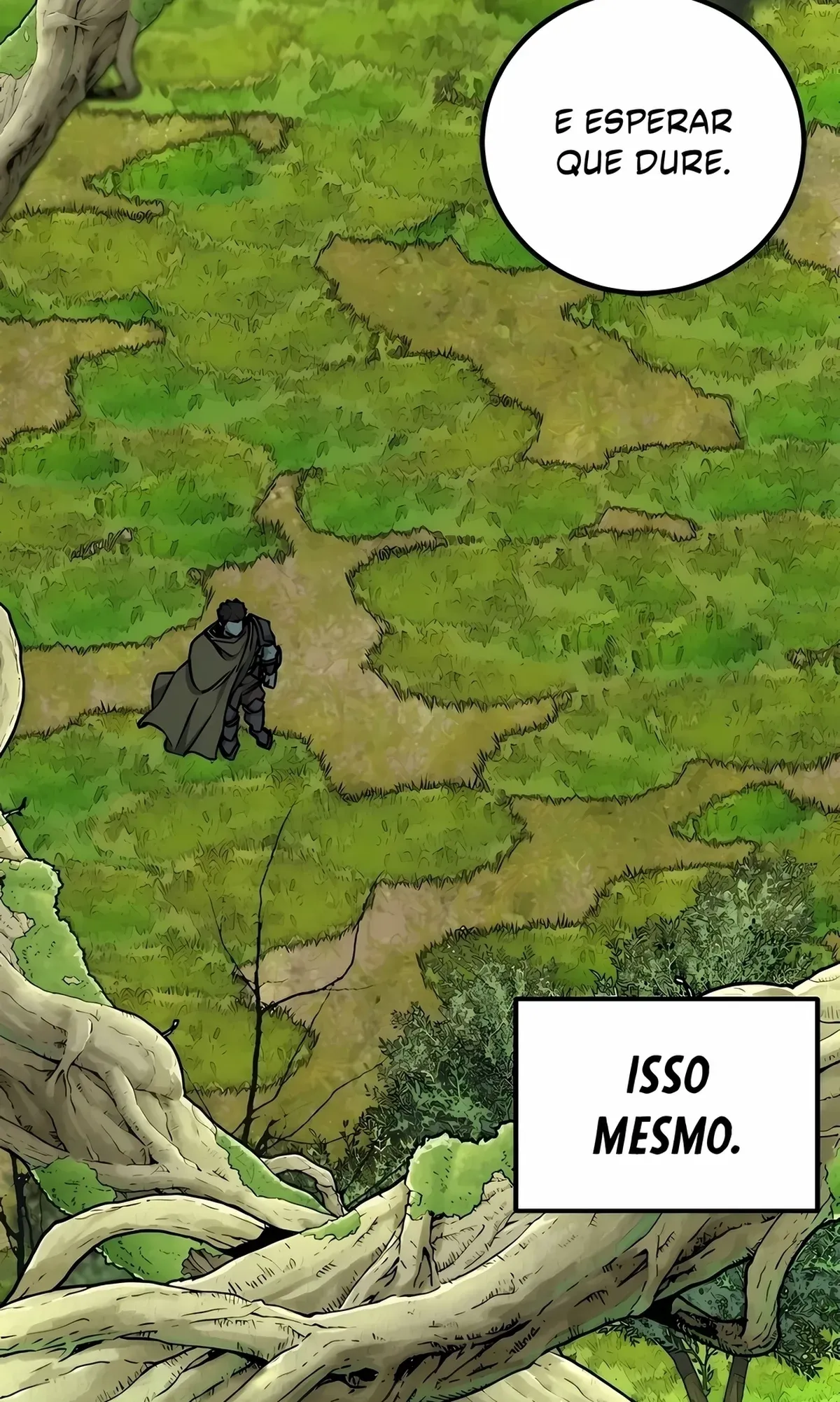 Página 37
