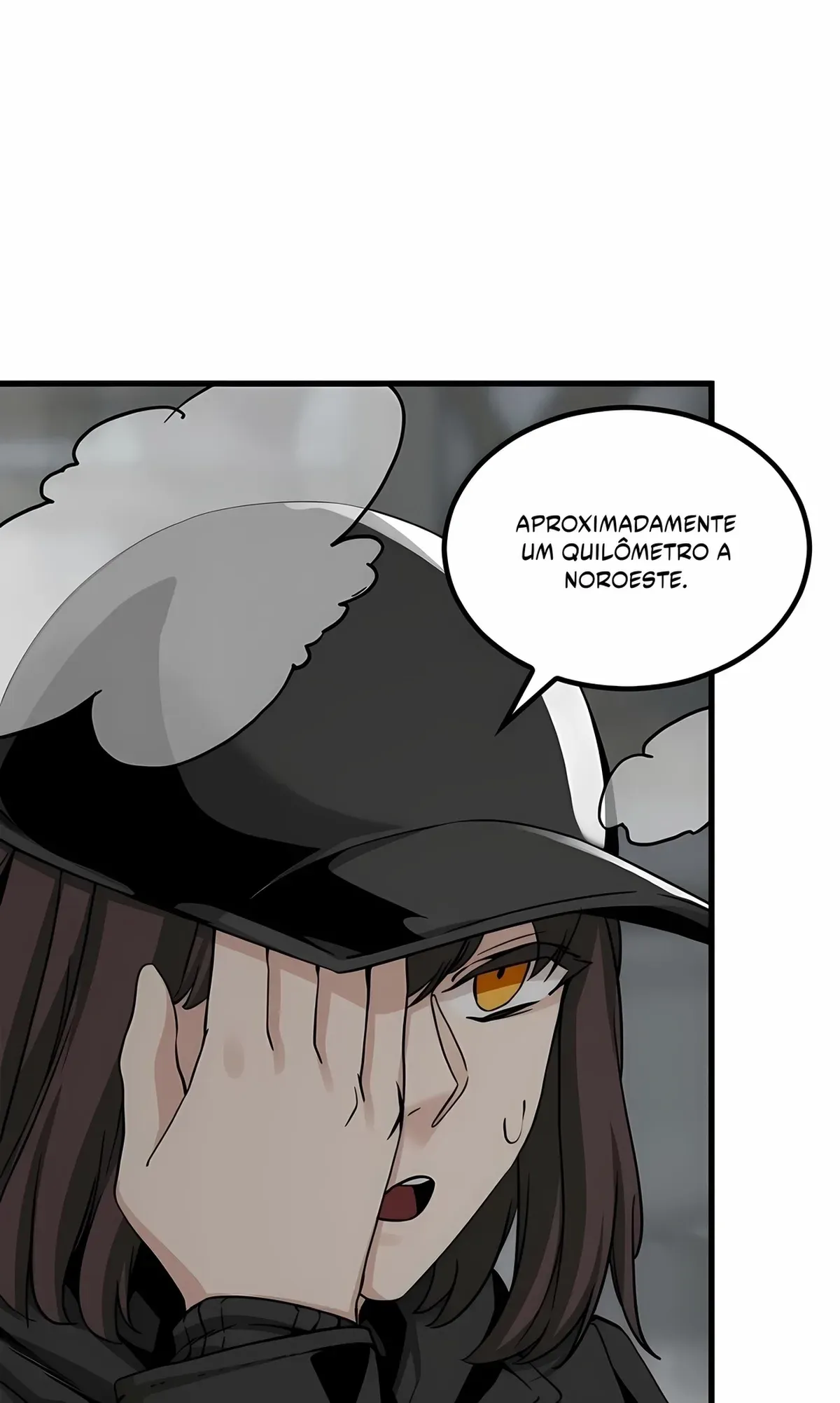 Página 107