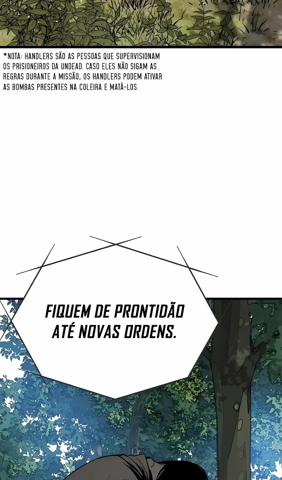 Página 111