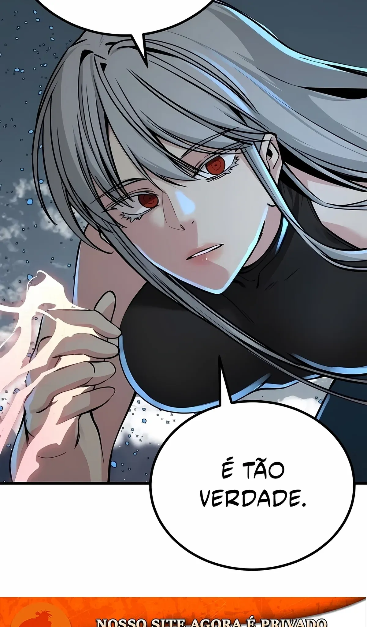 Página 115