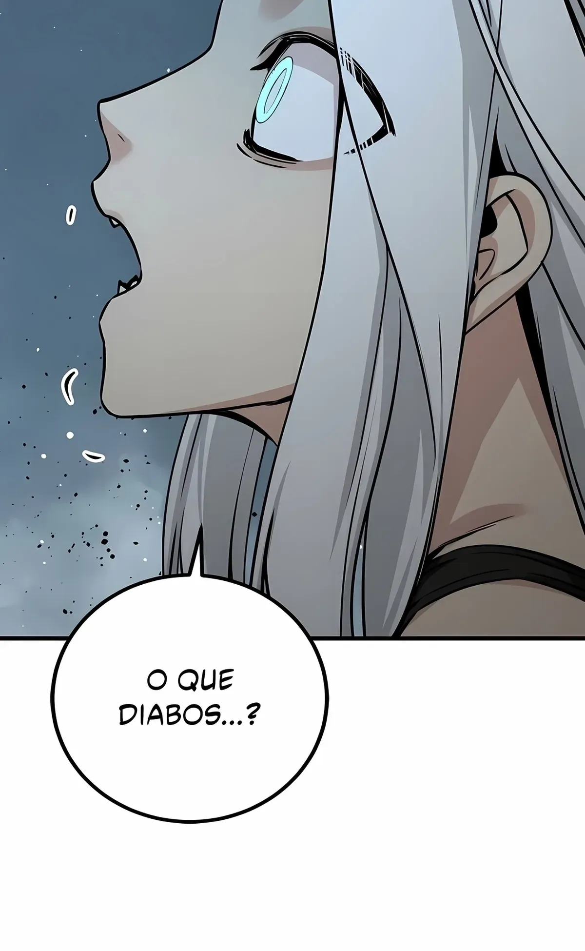 Página 102