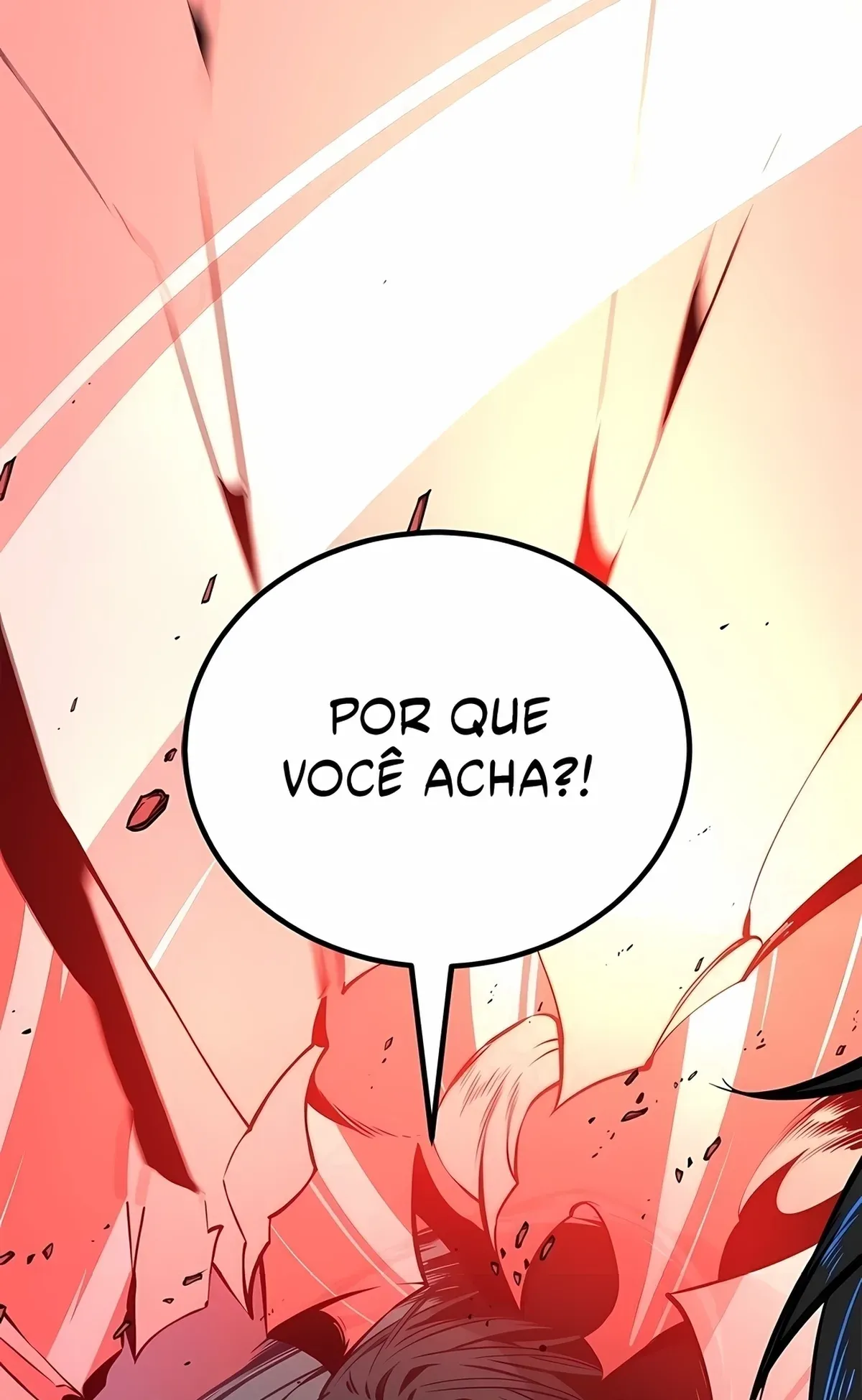 Página 113