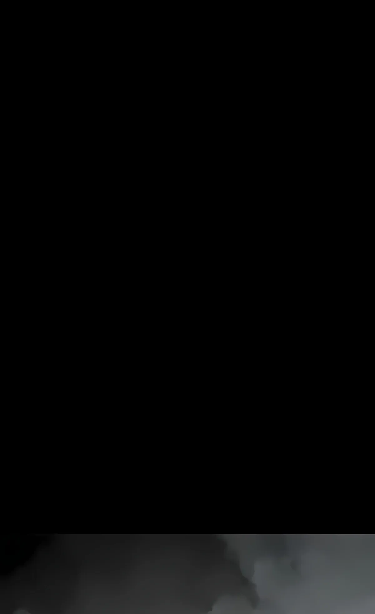 Página 113