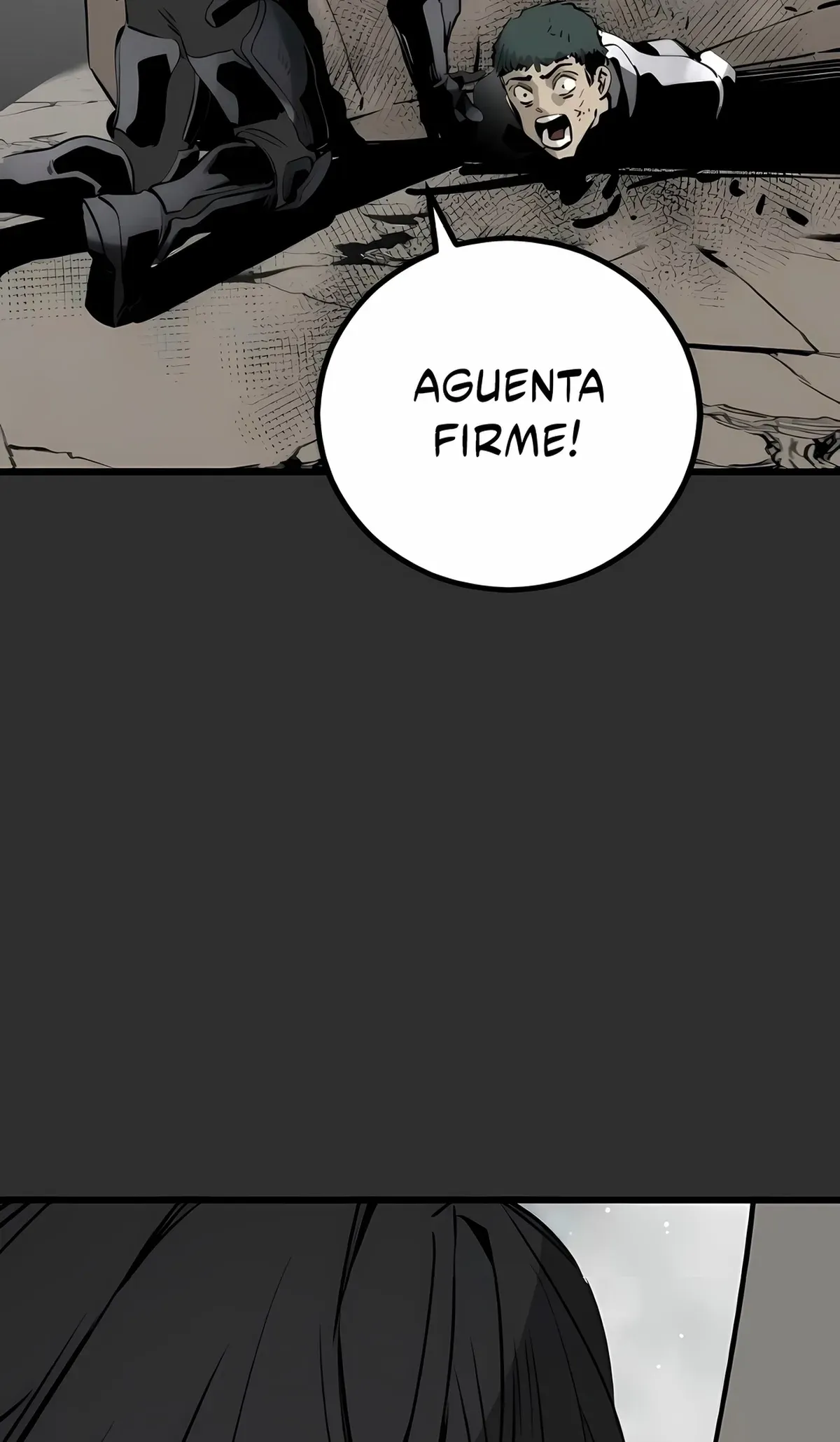 Página 102