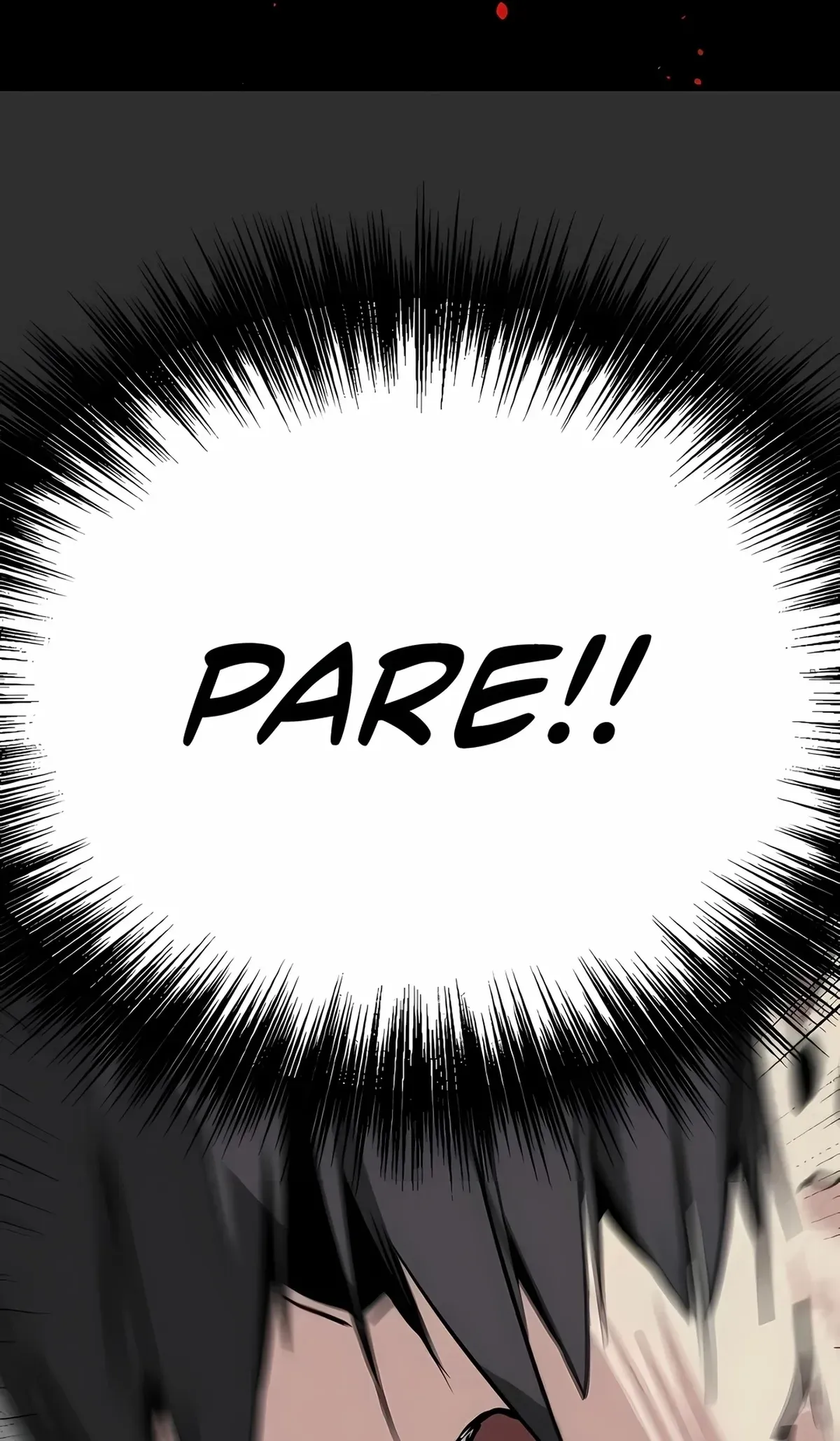 Página 113