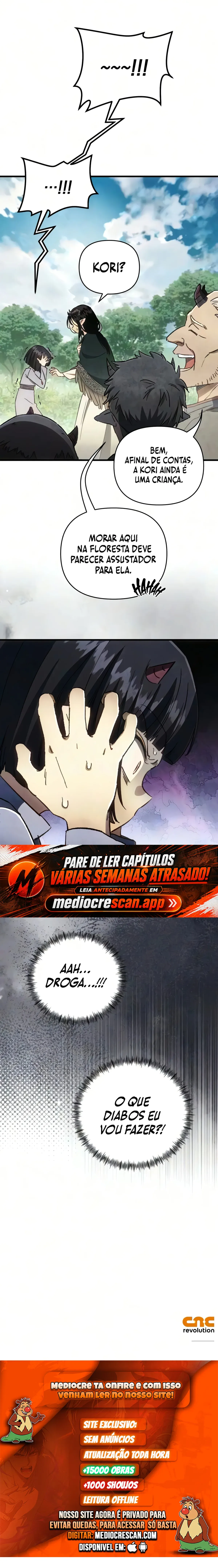 Página 17