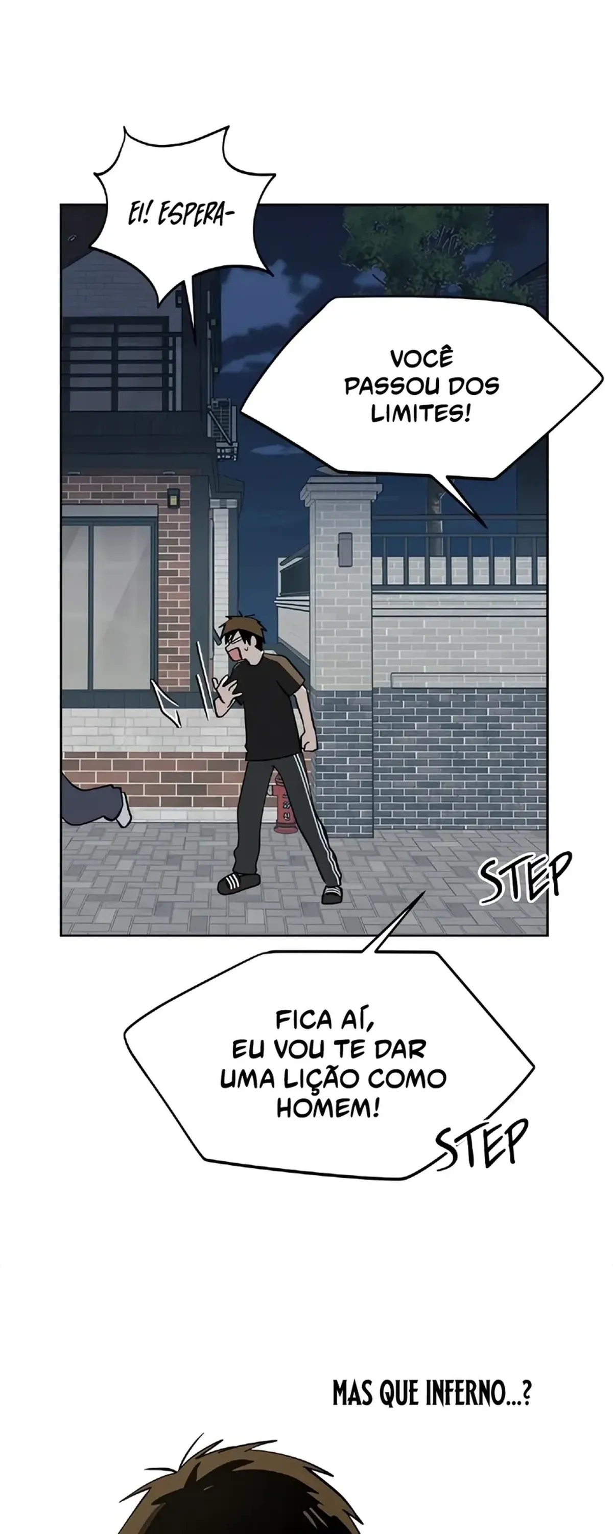 Página 17