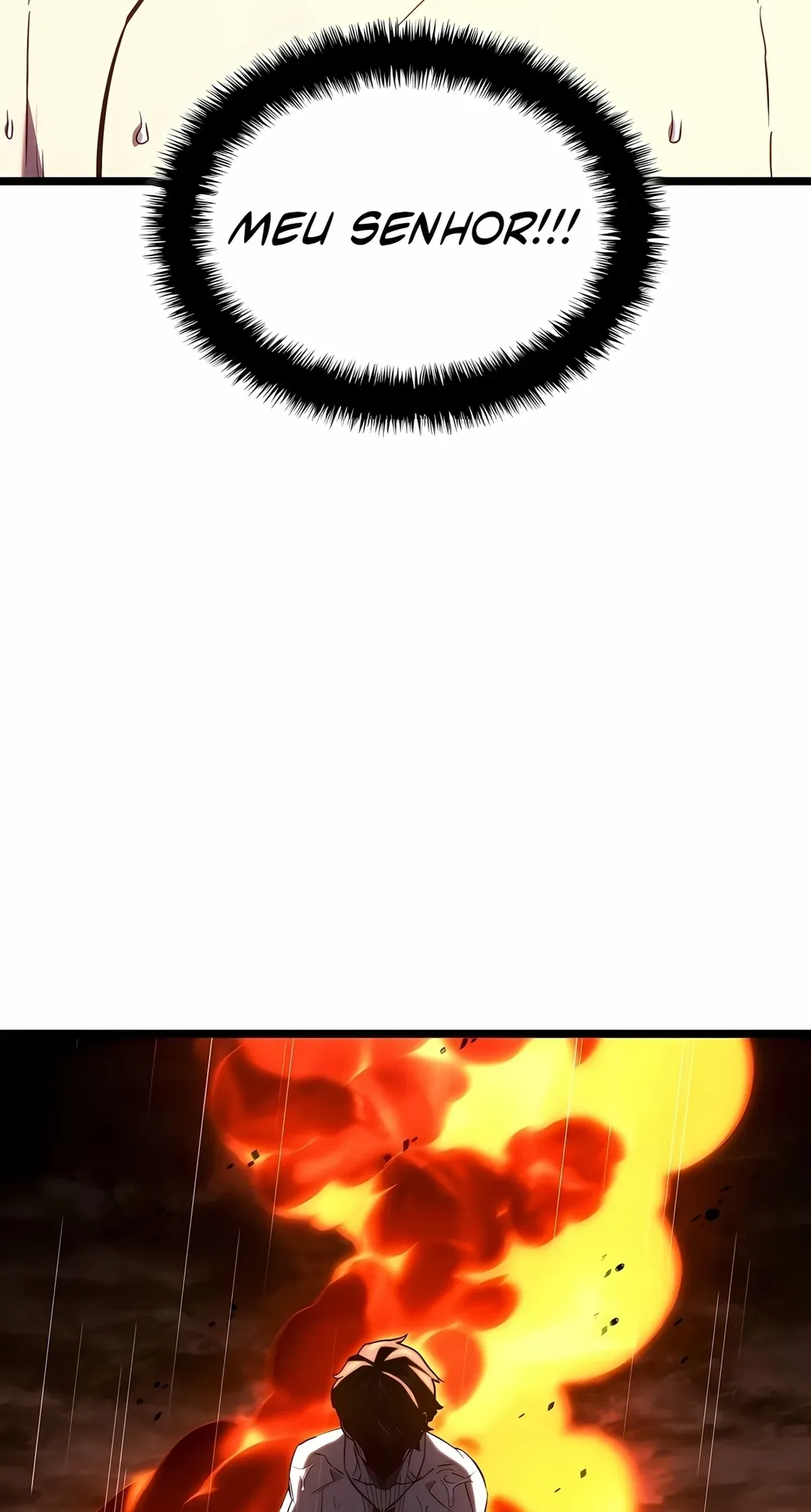 Página 116