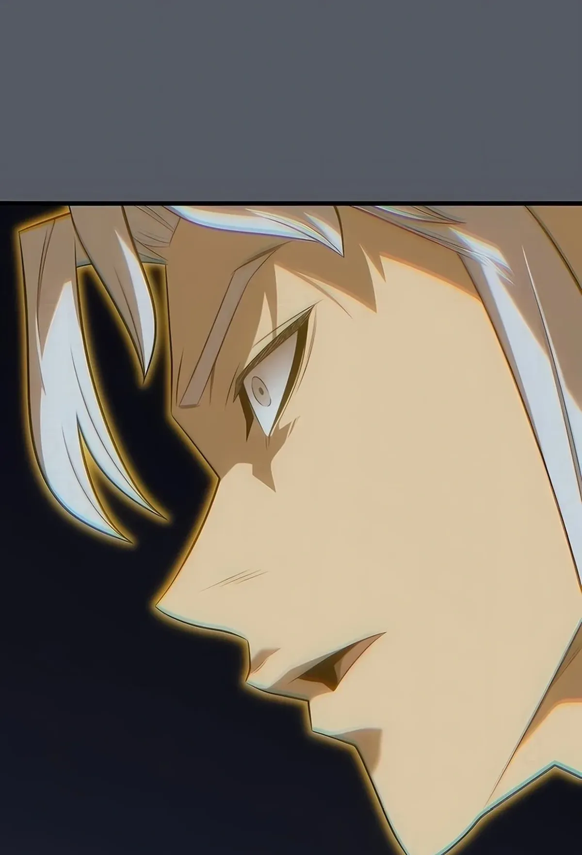 Página 81