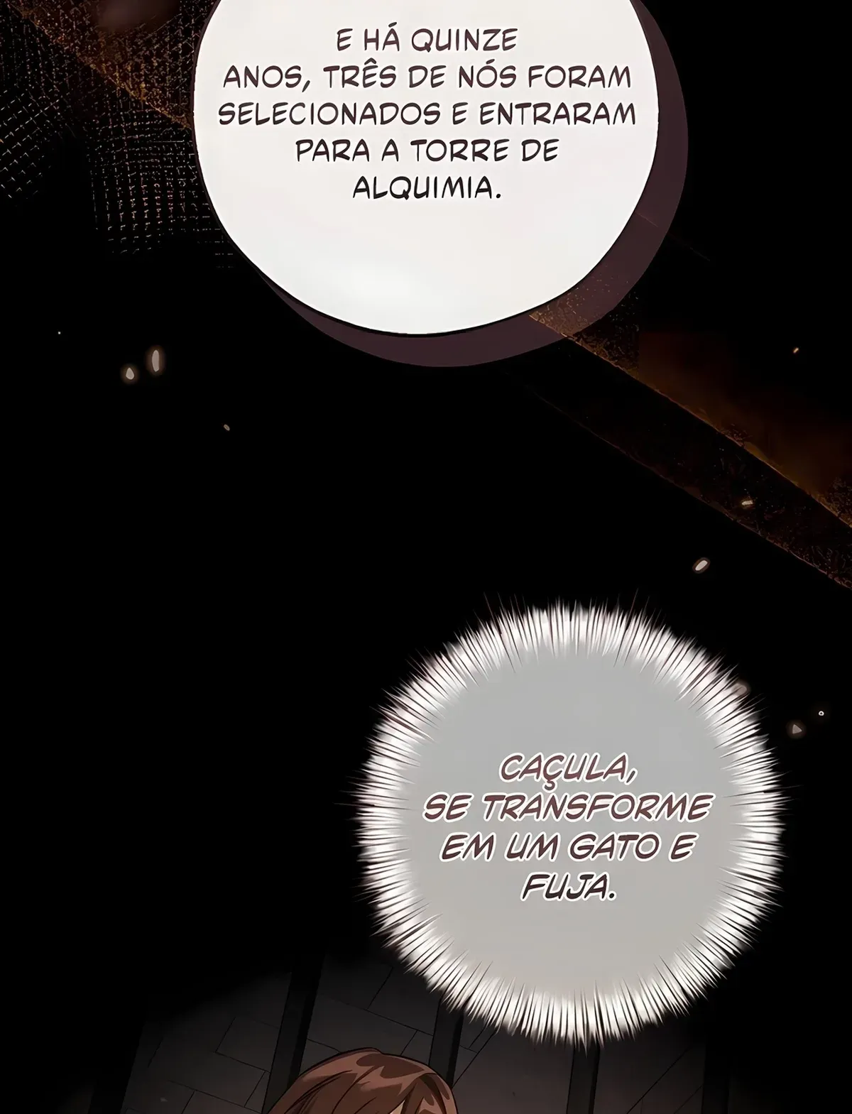 Página 91