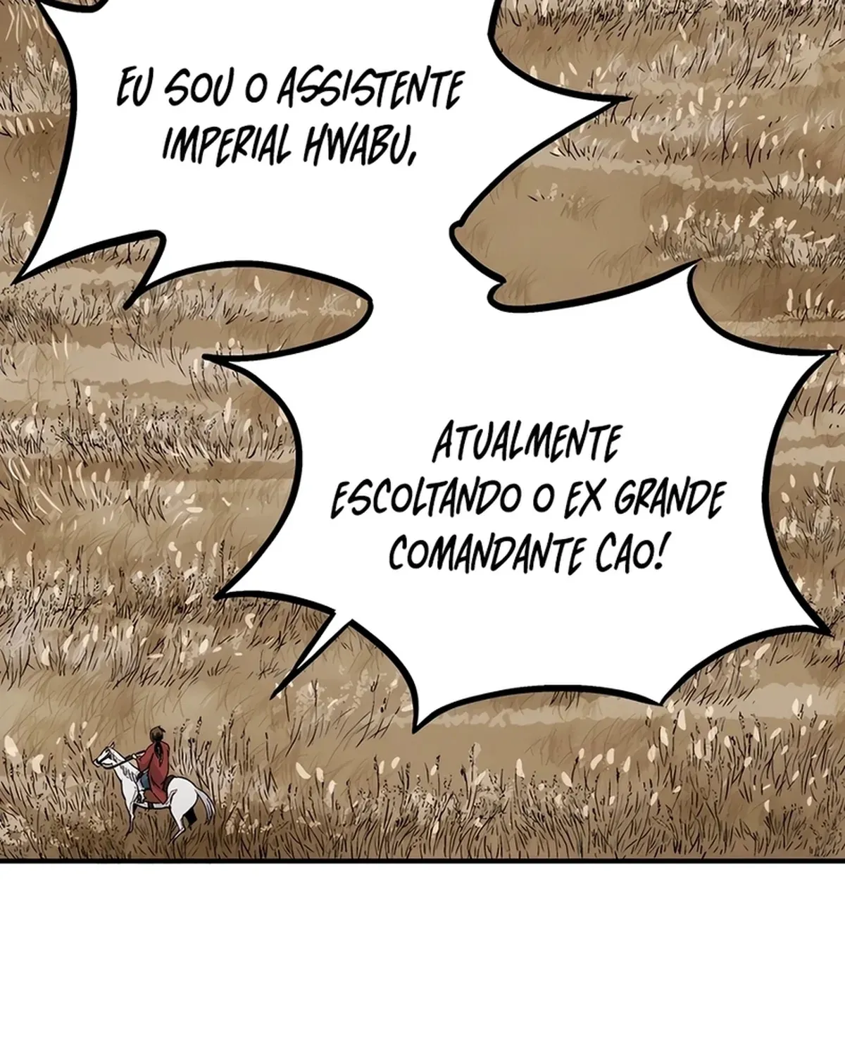 Página 43