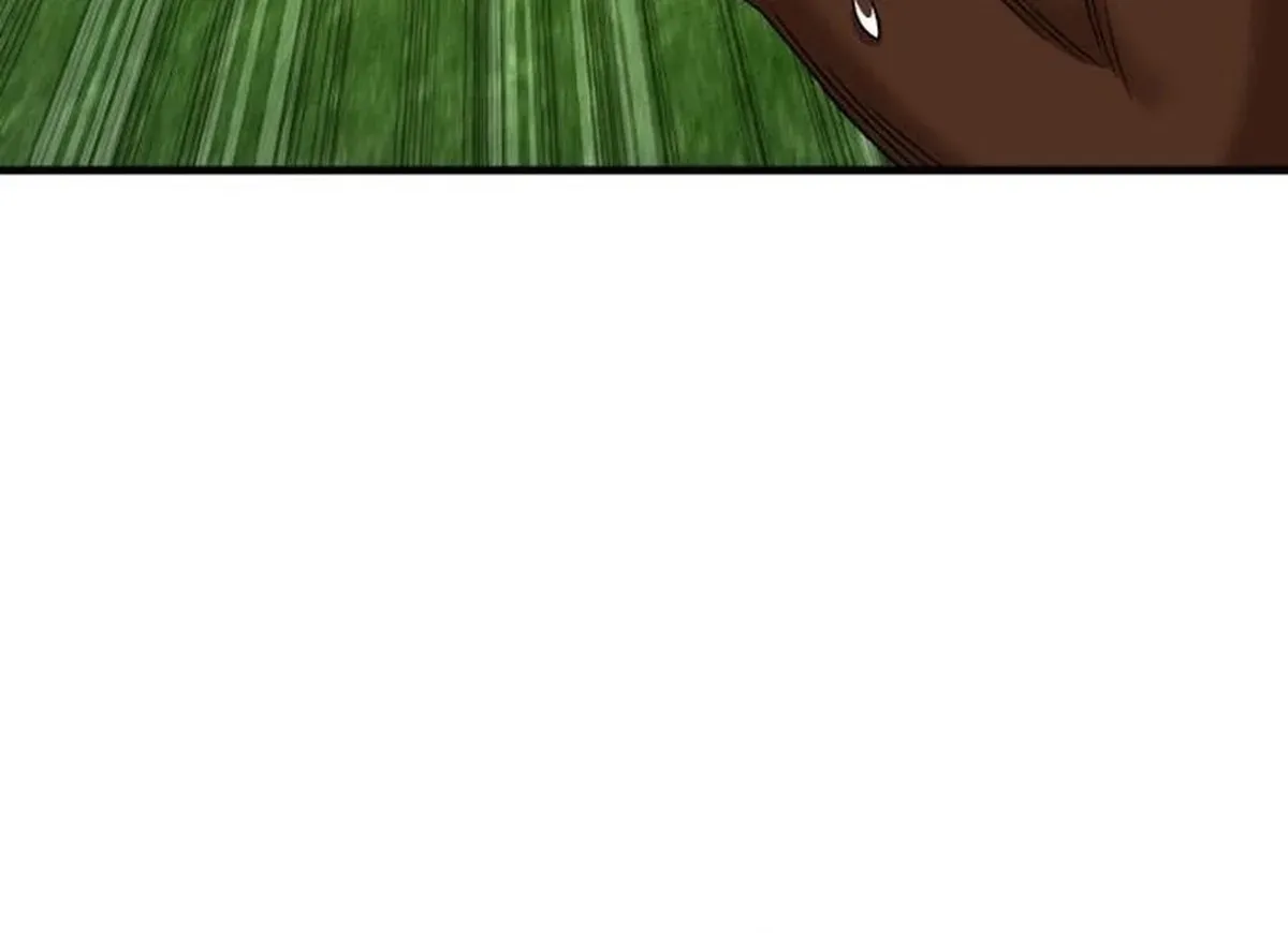 Página 117