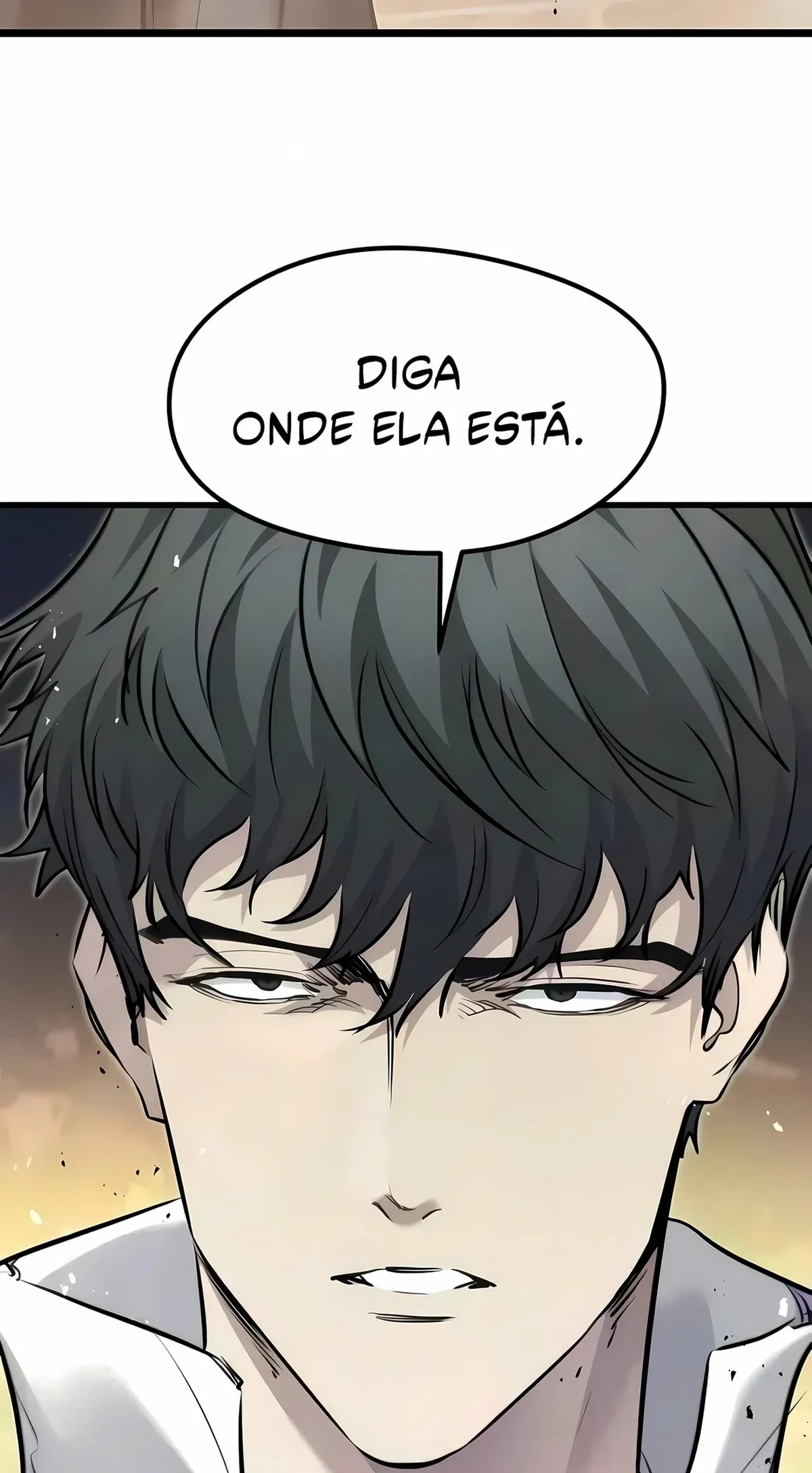 Página 102