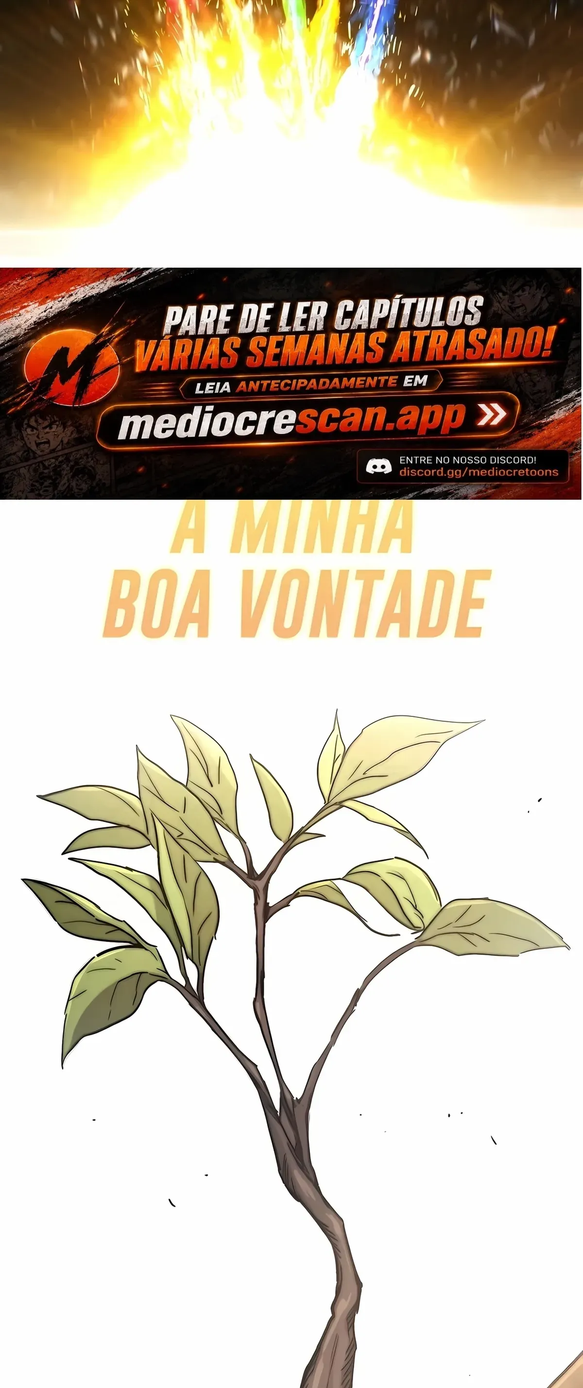Página 104