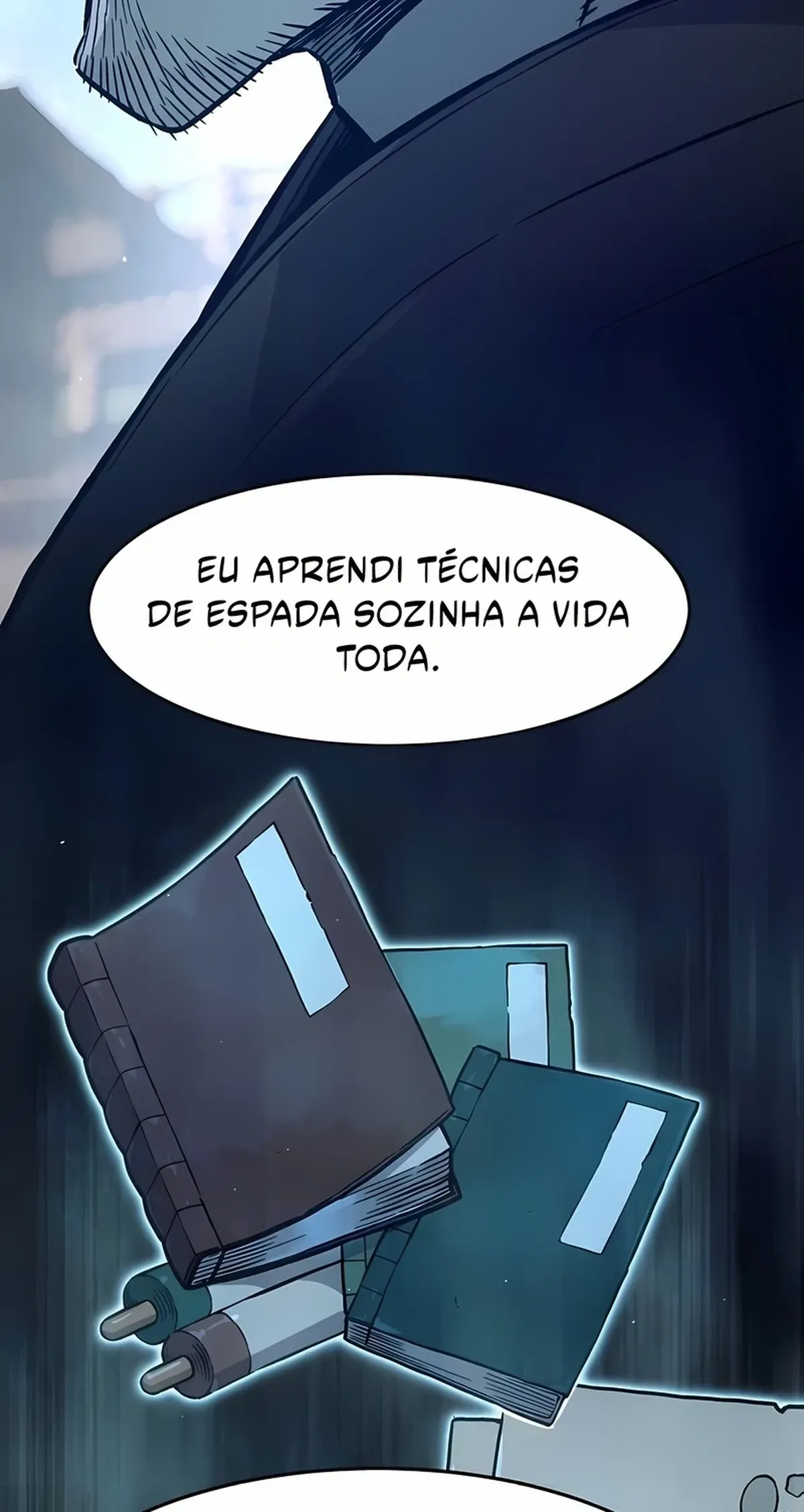Página 113