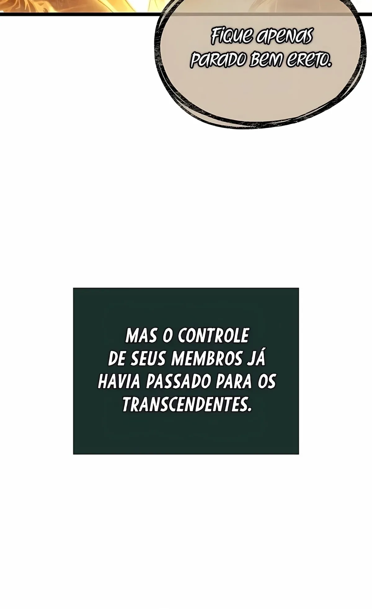 Página 113