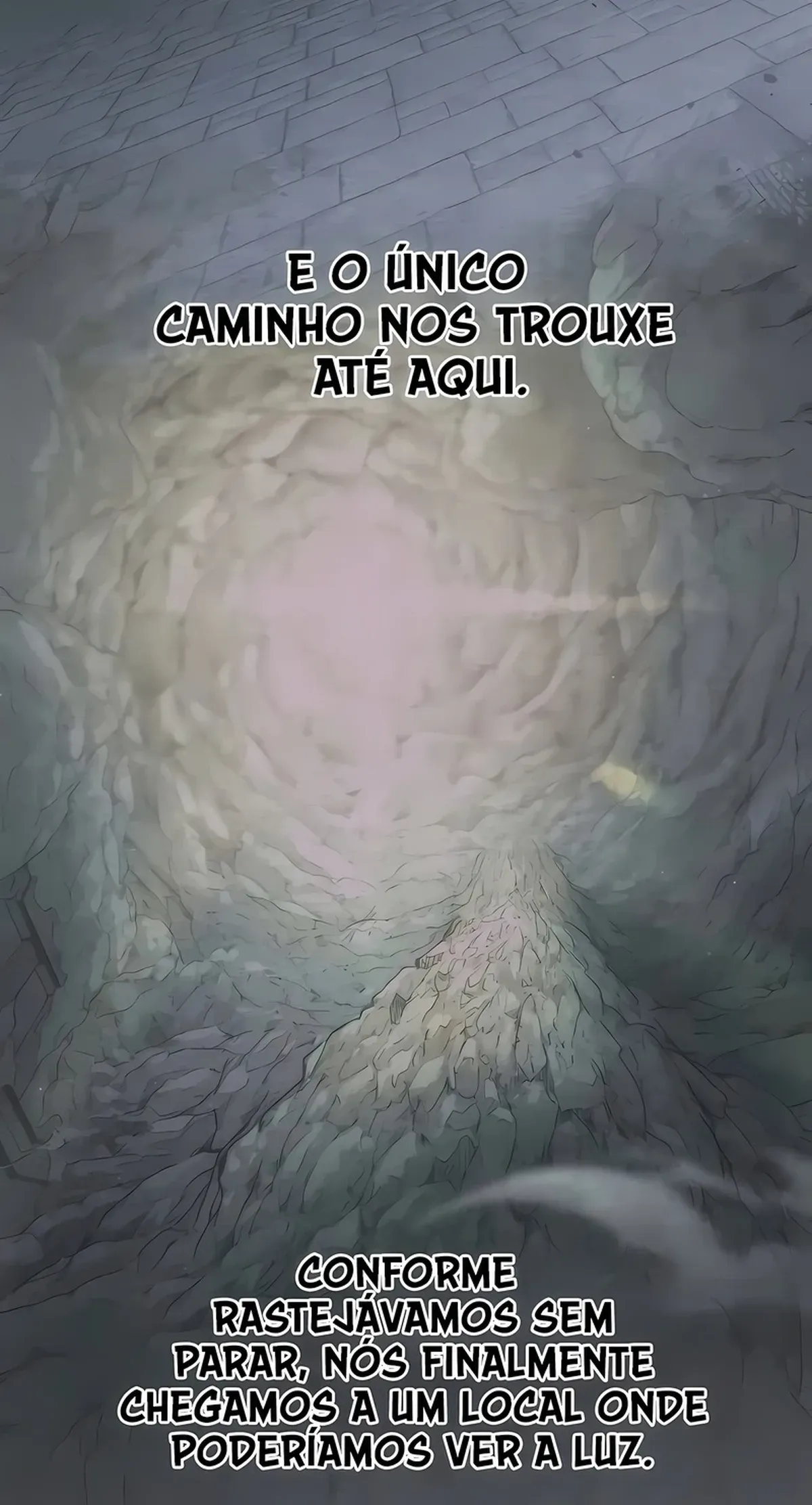 Página 111