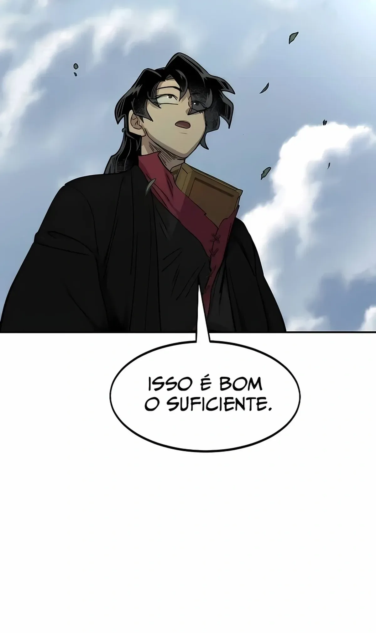 Página 29