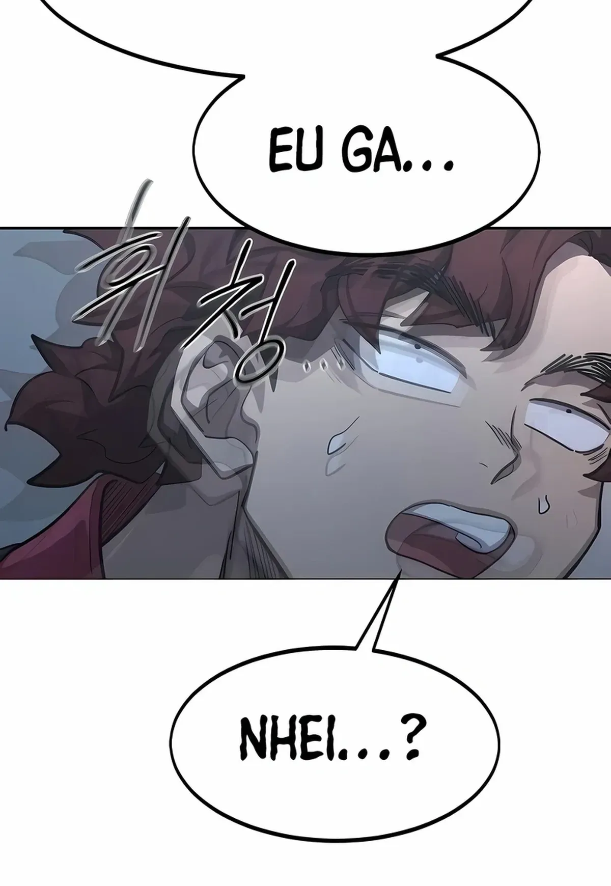 Página 116