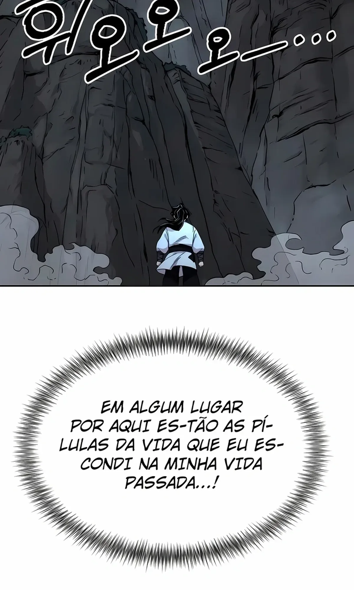 Página 100