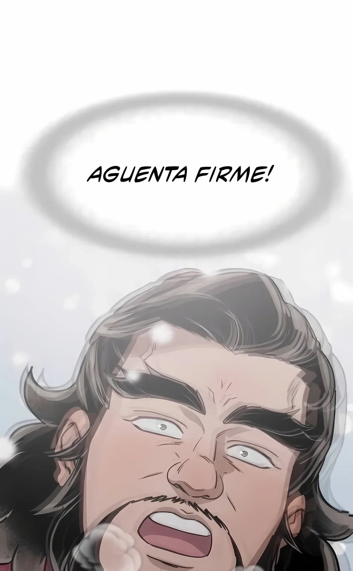 Página 101