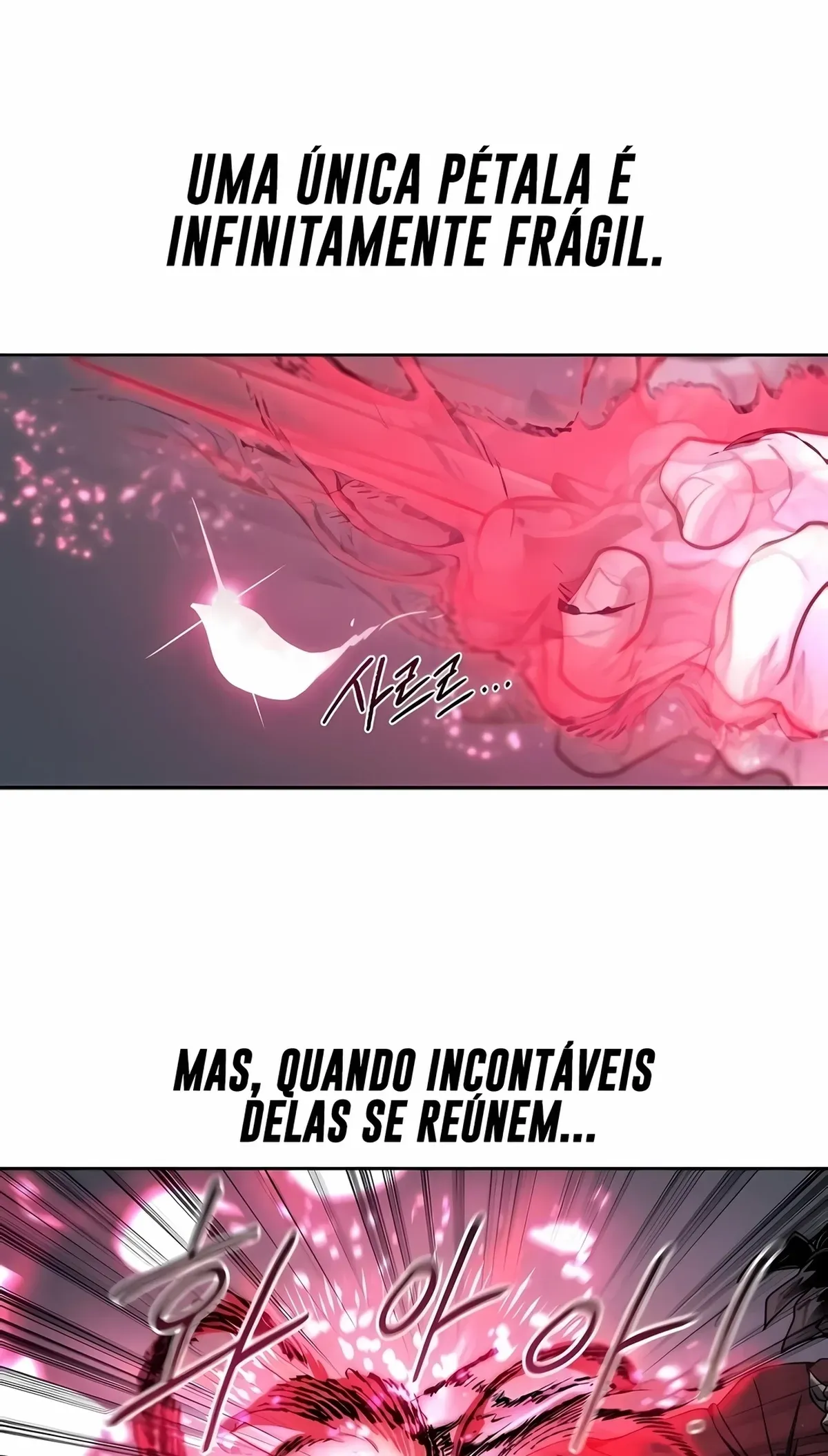 Página 91