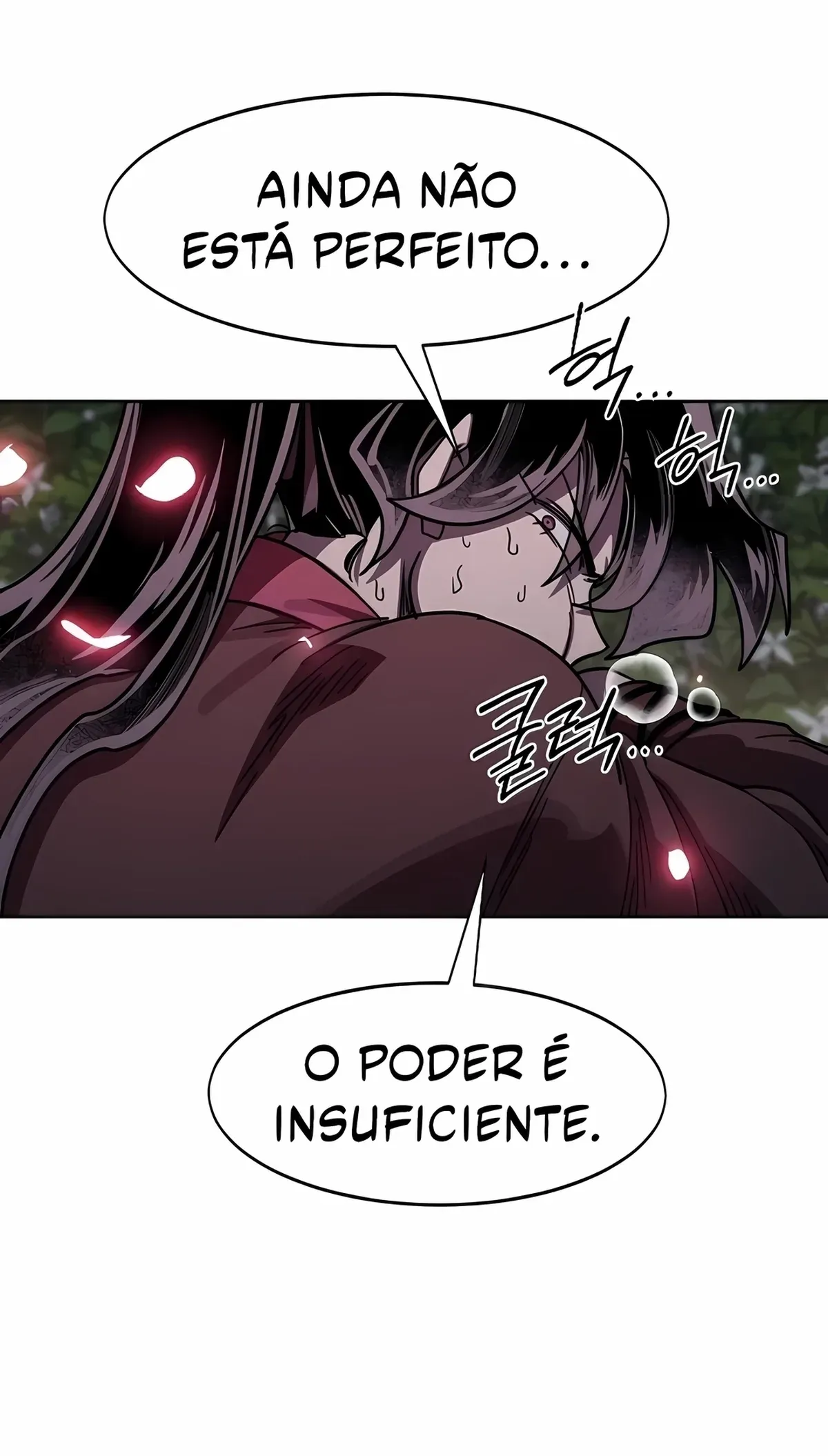 Página 107