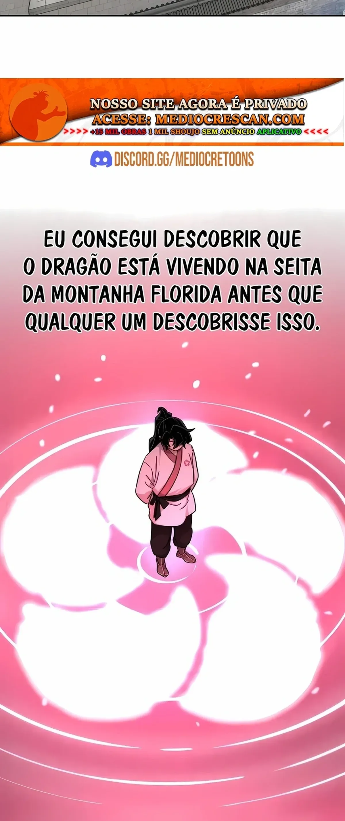 Página 113