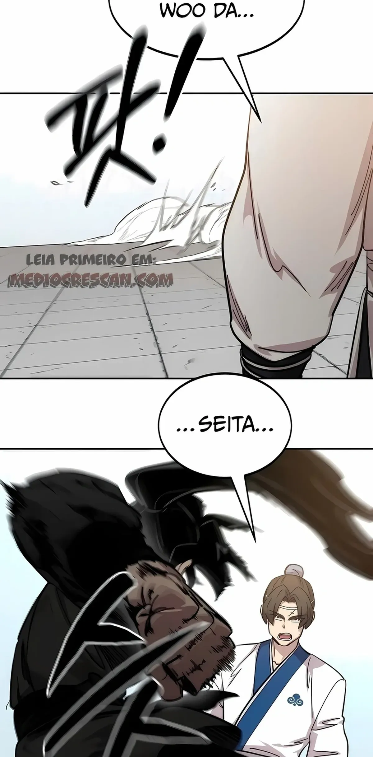 Página 113