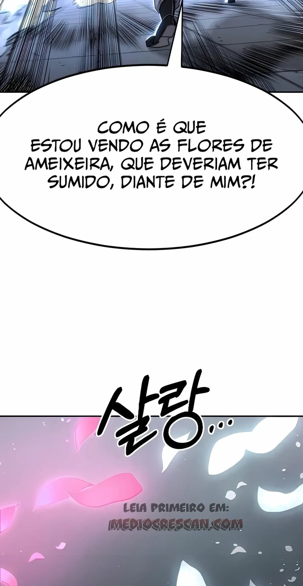 Página 46