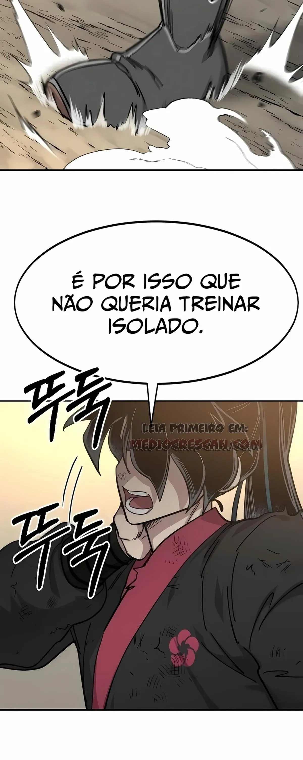 Página 115