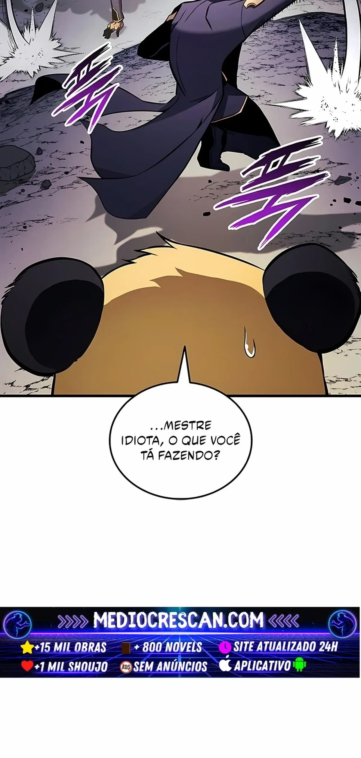 Página 29