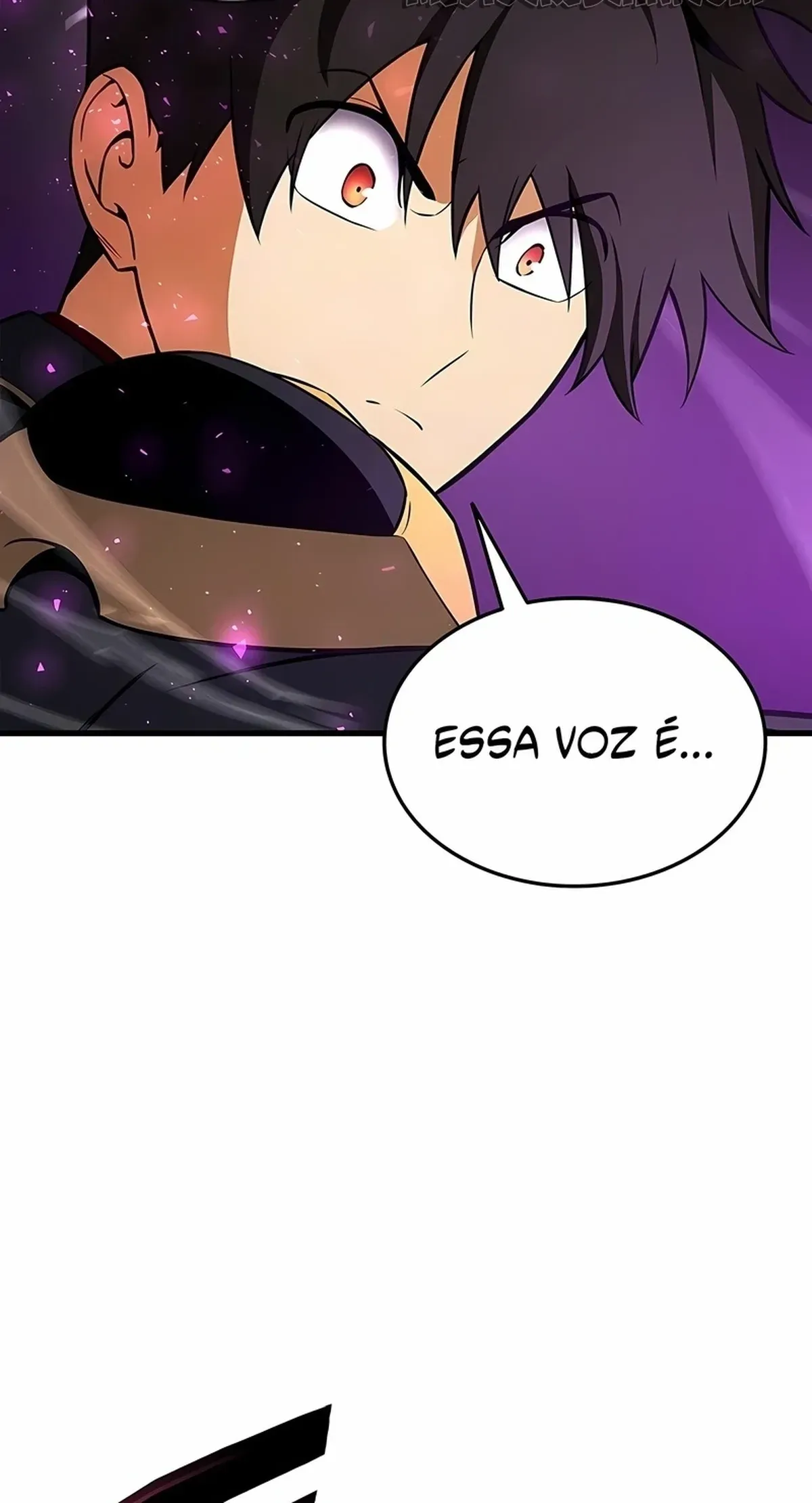 Página 116