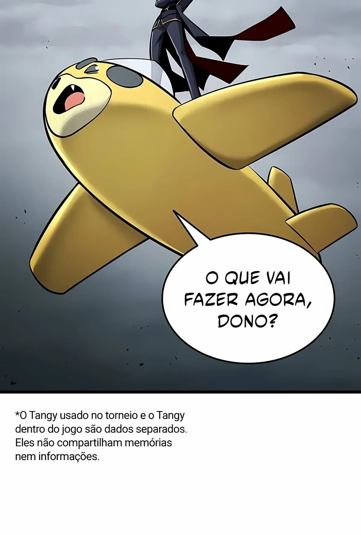 Página 46