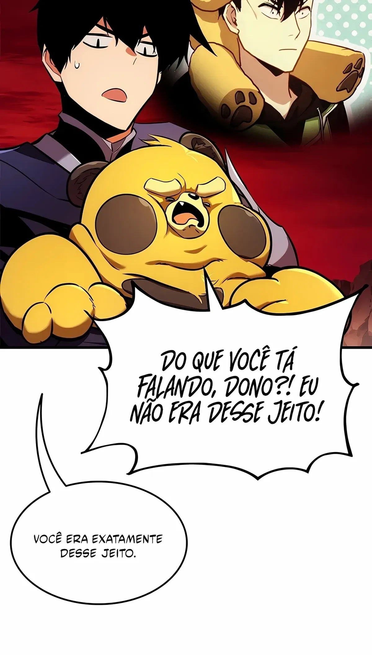 Página 17