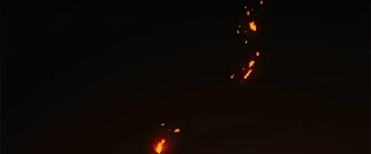 Página 11