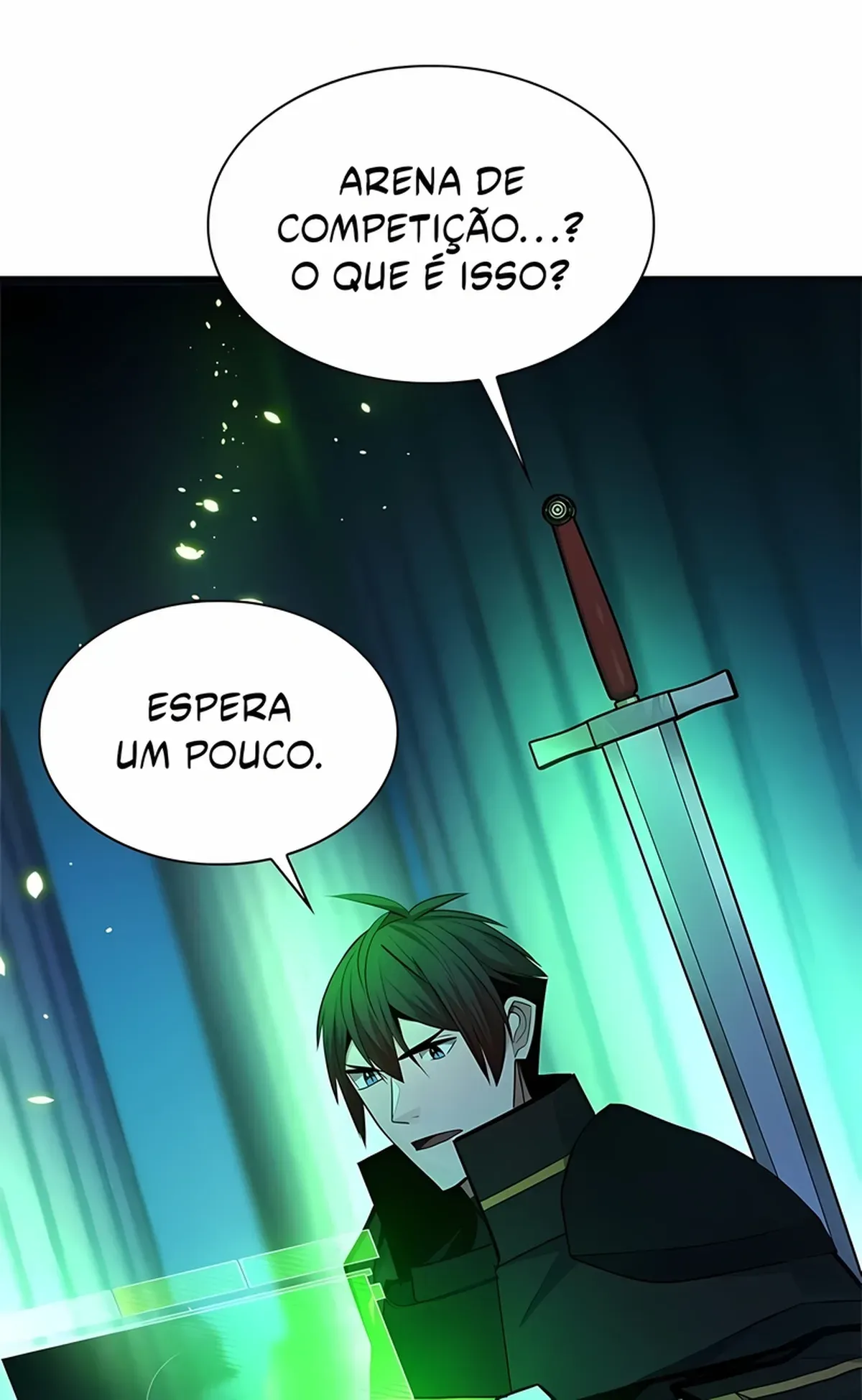 Página 79